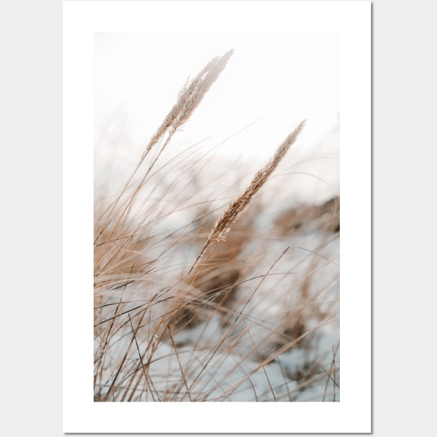 Beach grass in the winter, snow in background Wall Art by Melissa Peltenburg Travel Photography